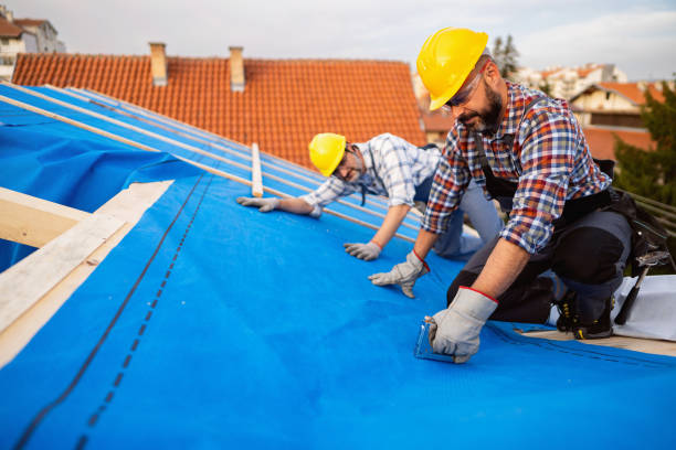 Best Commercial Roofing Services  in Hopkinsville, KY