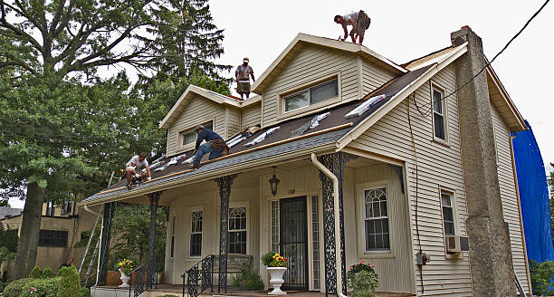 Best Residential Roofing Contractor  in Hopkinsville, KY