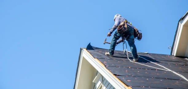 Best Metal Roofing Contractor  in Hopkinsville, KY